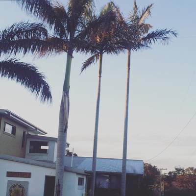 Coffs Harbour