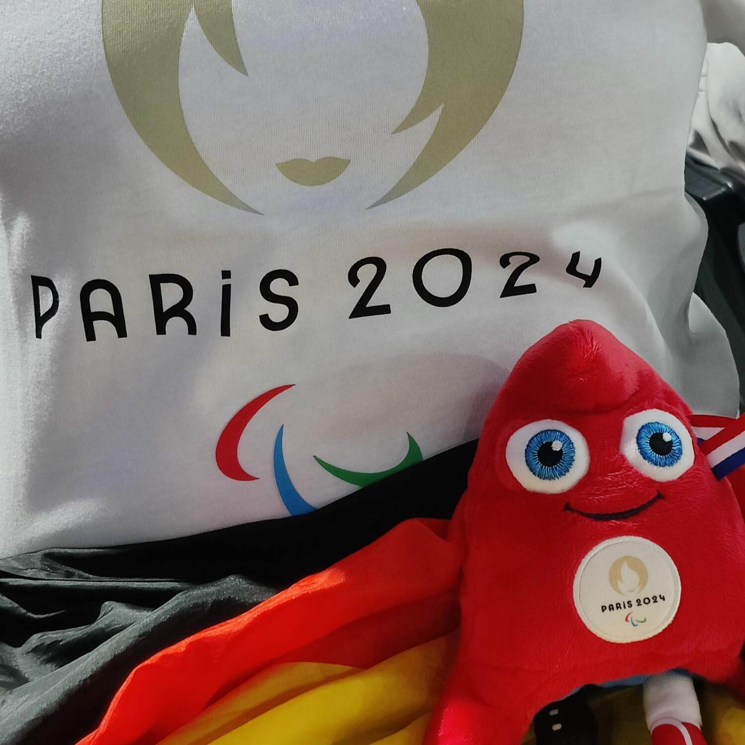 2024 Paris Paralympics