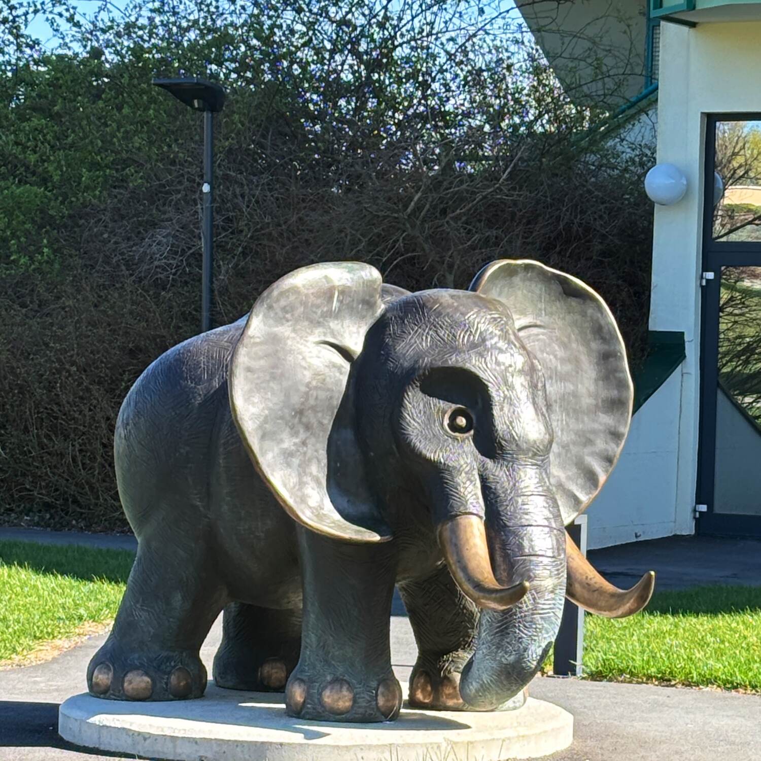 Kurz nach Bad Tatzmannsdorf