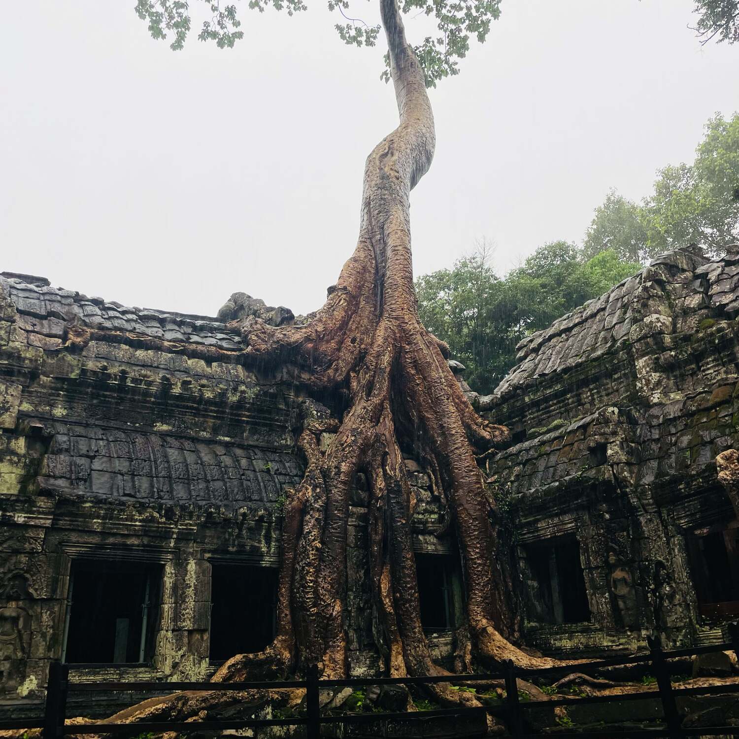 Cambodia 🇰🇭