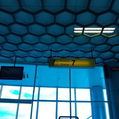 Going Home