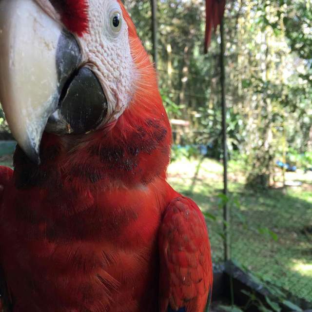 Oh wie schön ist Panama