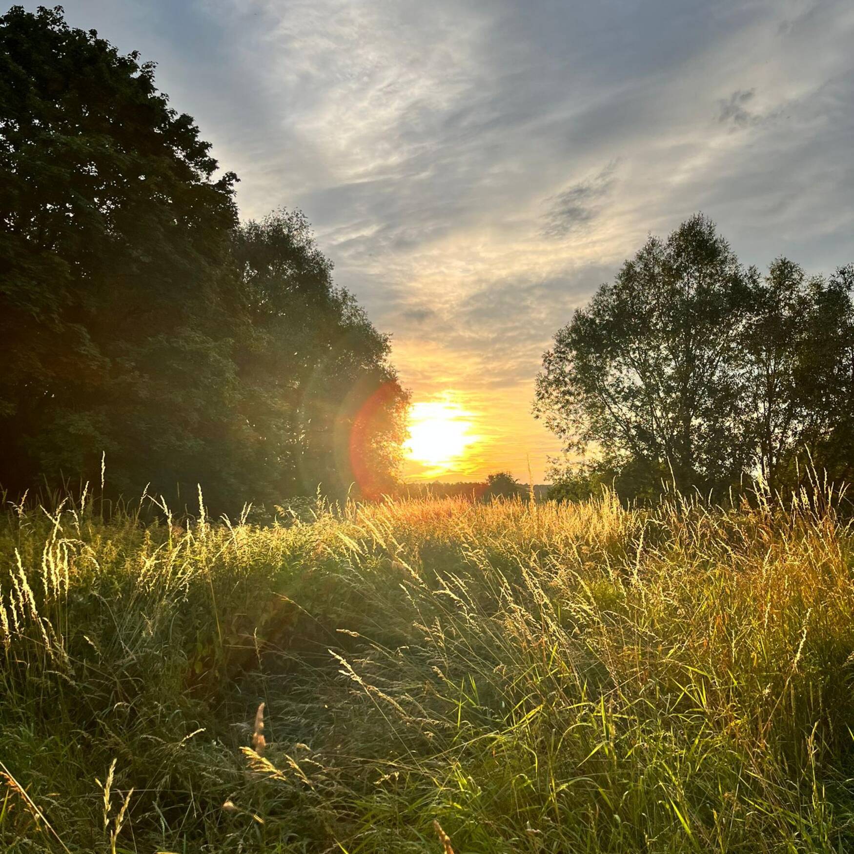 🐕🐕 Abenteuer im Camper