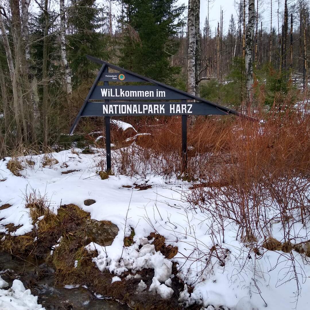 Harz