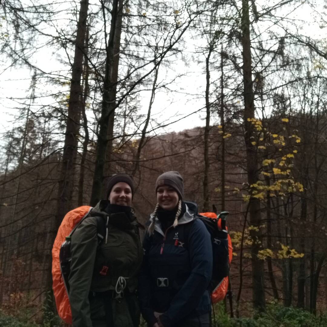 Harz Nov.22