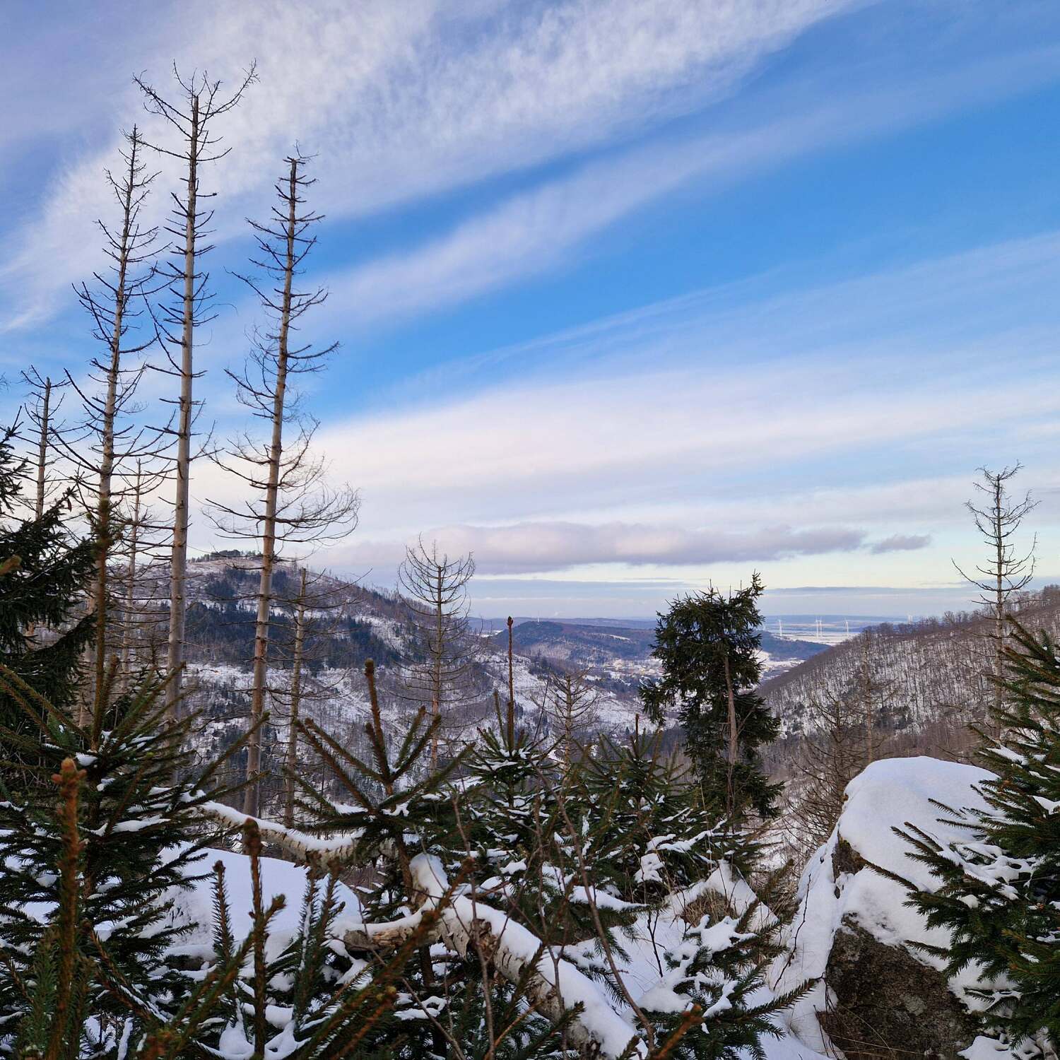 Harz Jan.25