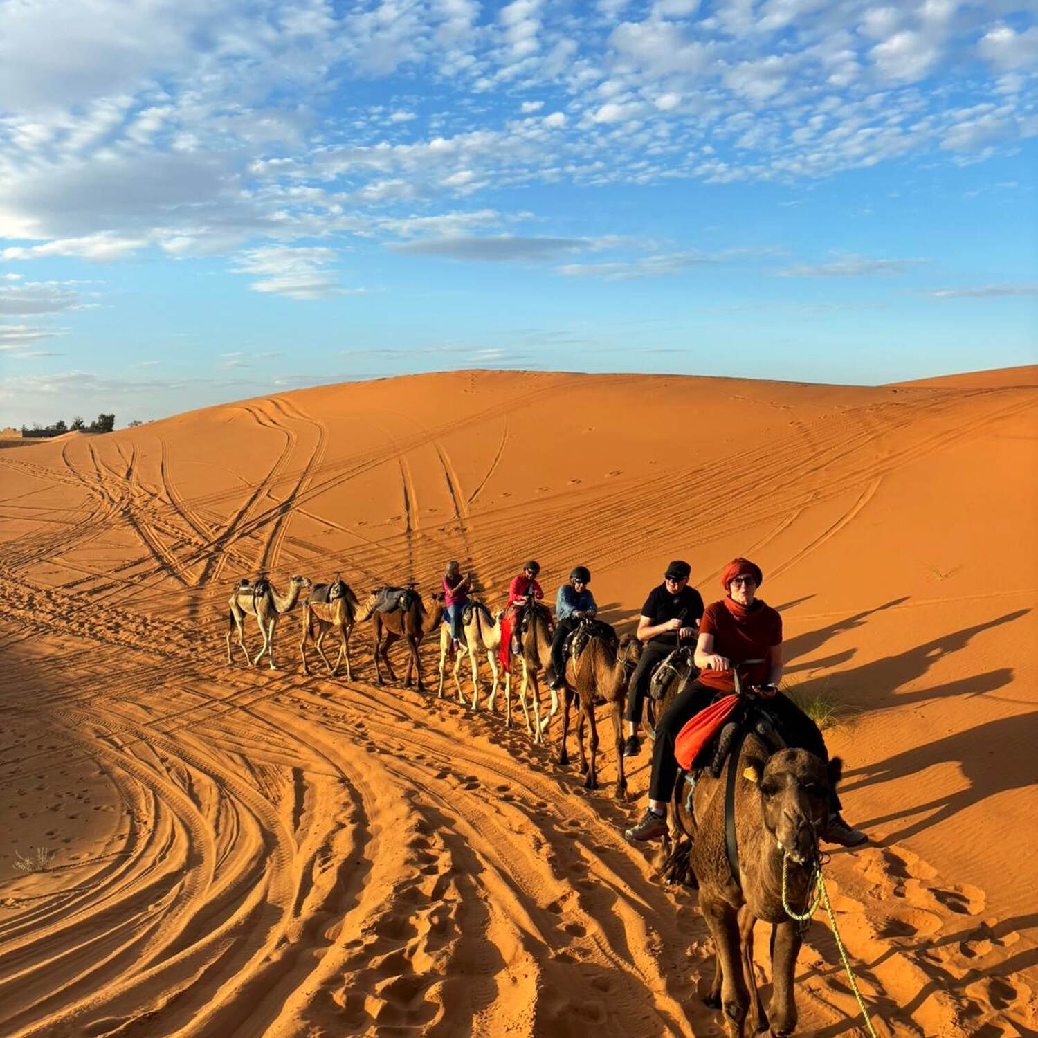 Highlights of Morocco