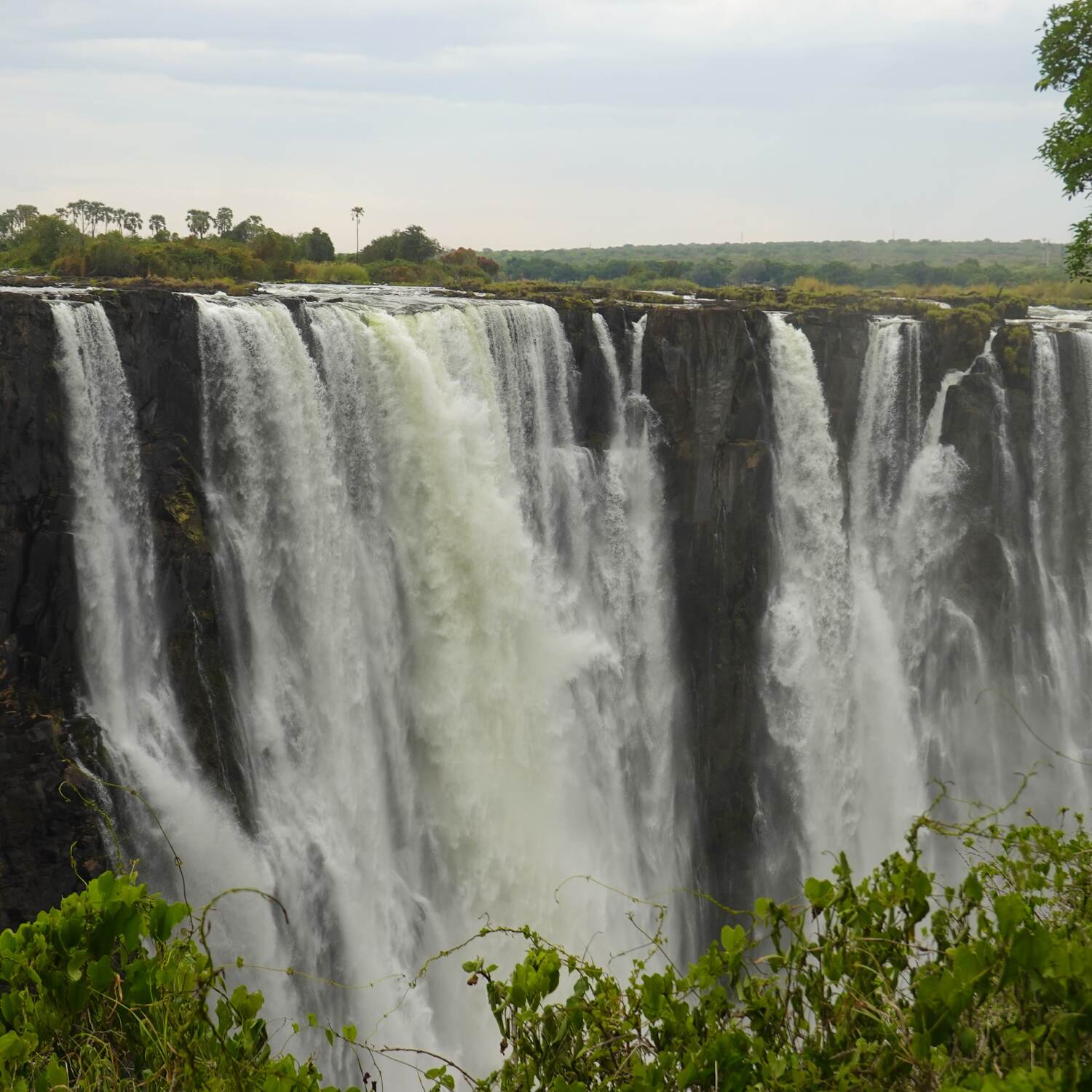 Cape Town to Victoria Falls