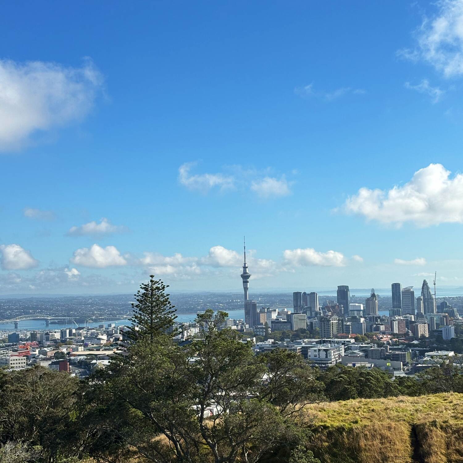 New Zealand 🇳🇿