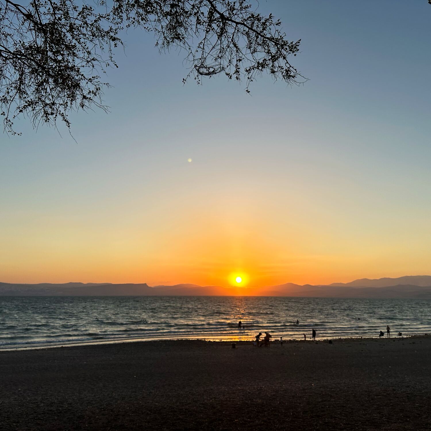 קמפינג בכנרת ⛺️⛵️🐚