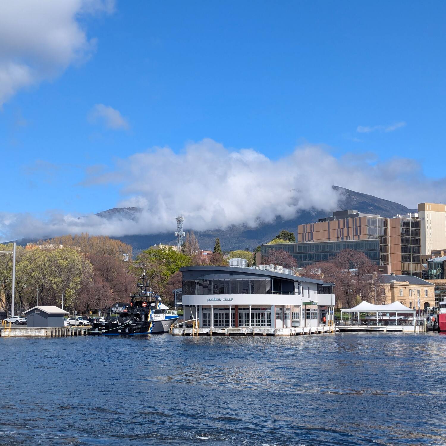 Hobart with mum and dad.