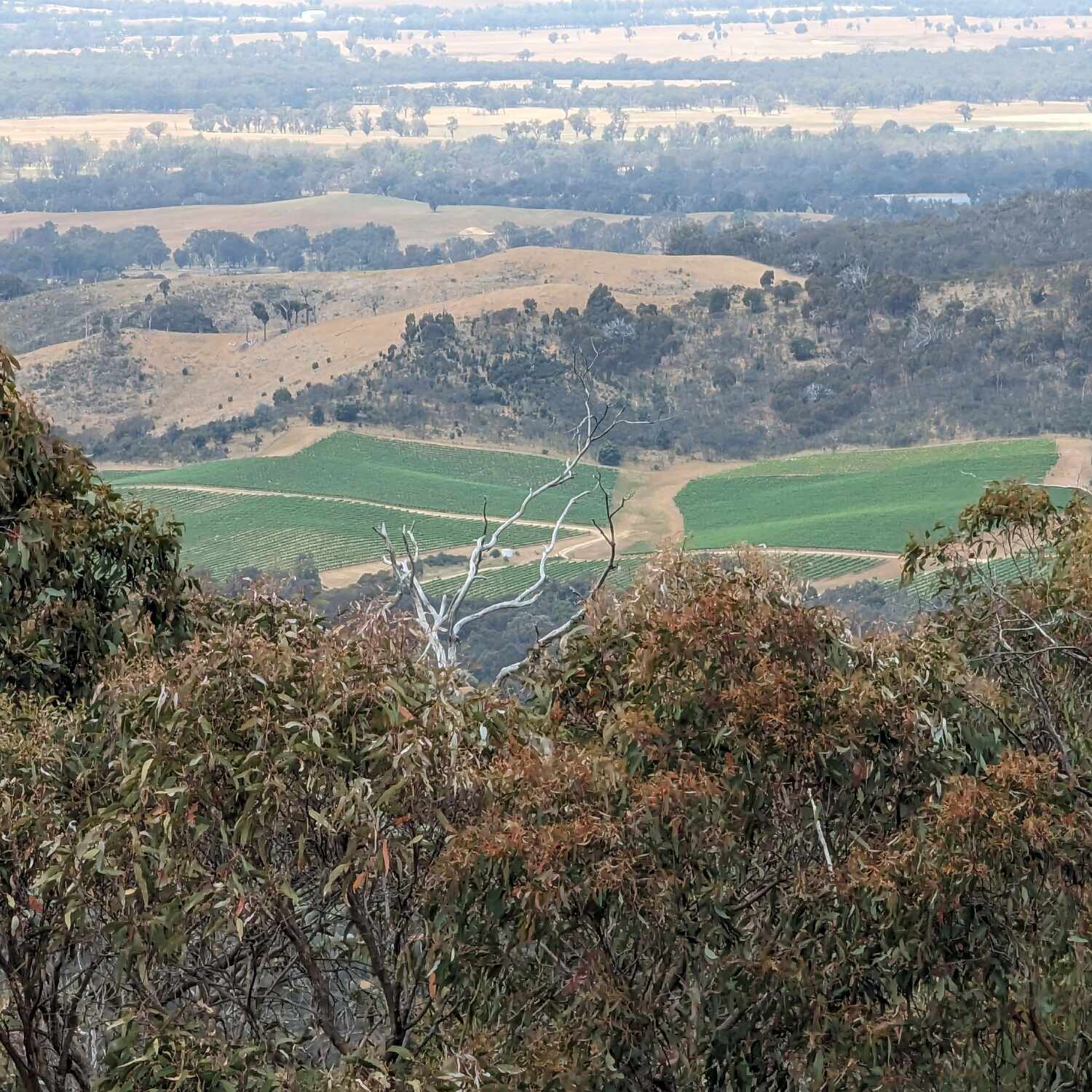 Avoca spontaneous weekend.