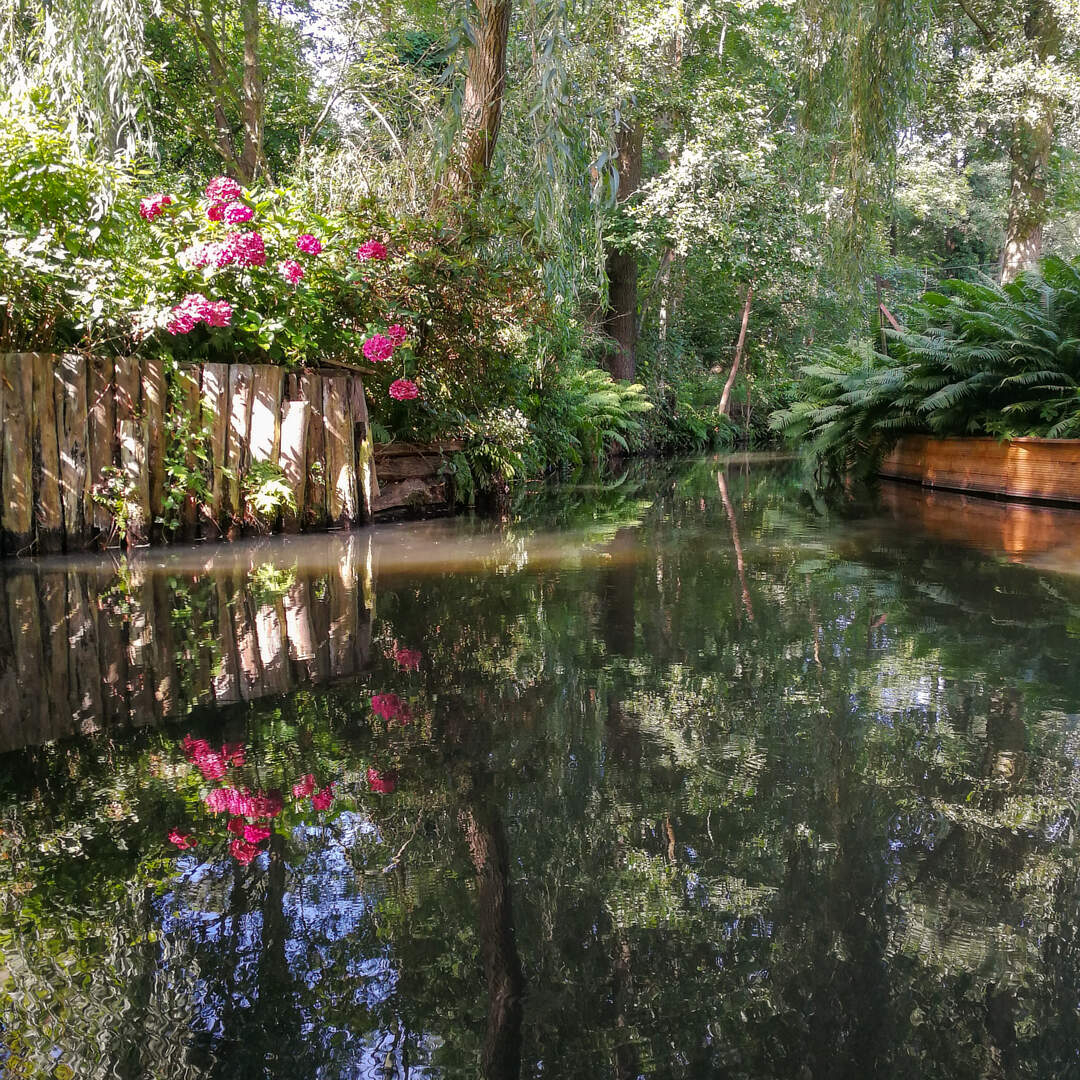 Spreewald 2019