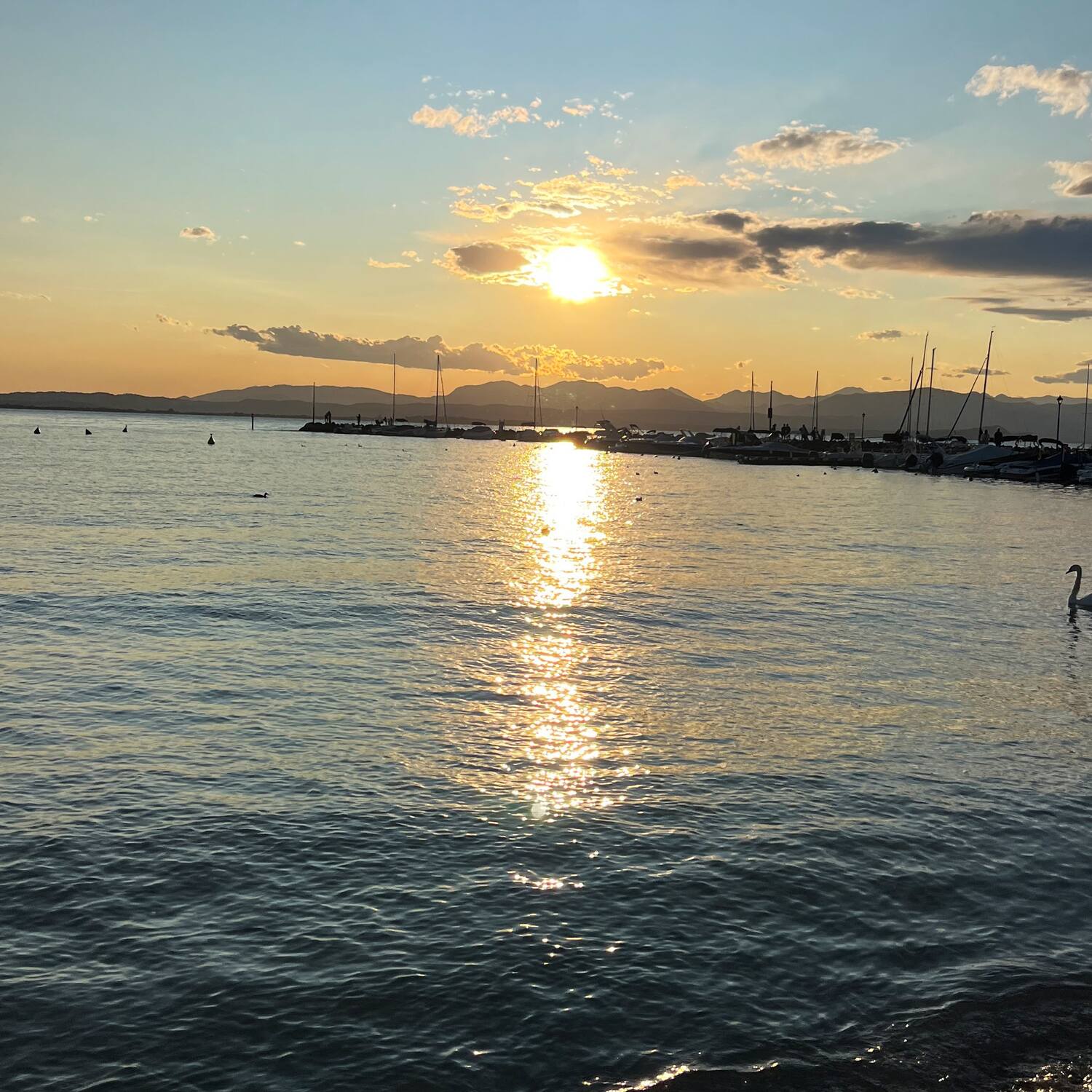 Gardasee 2025