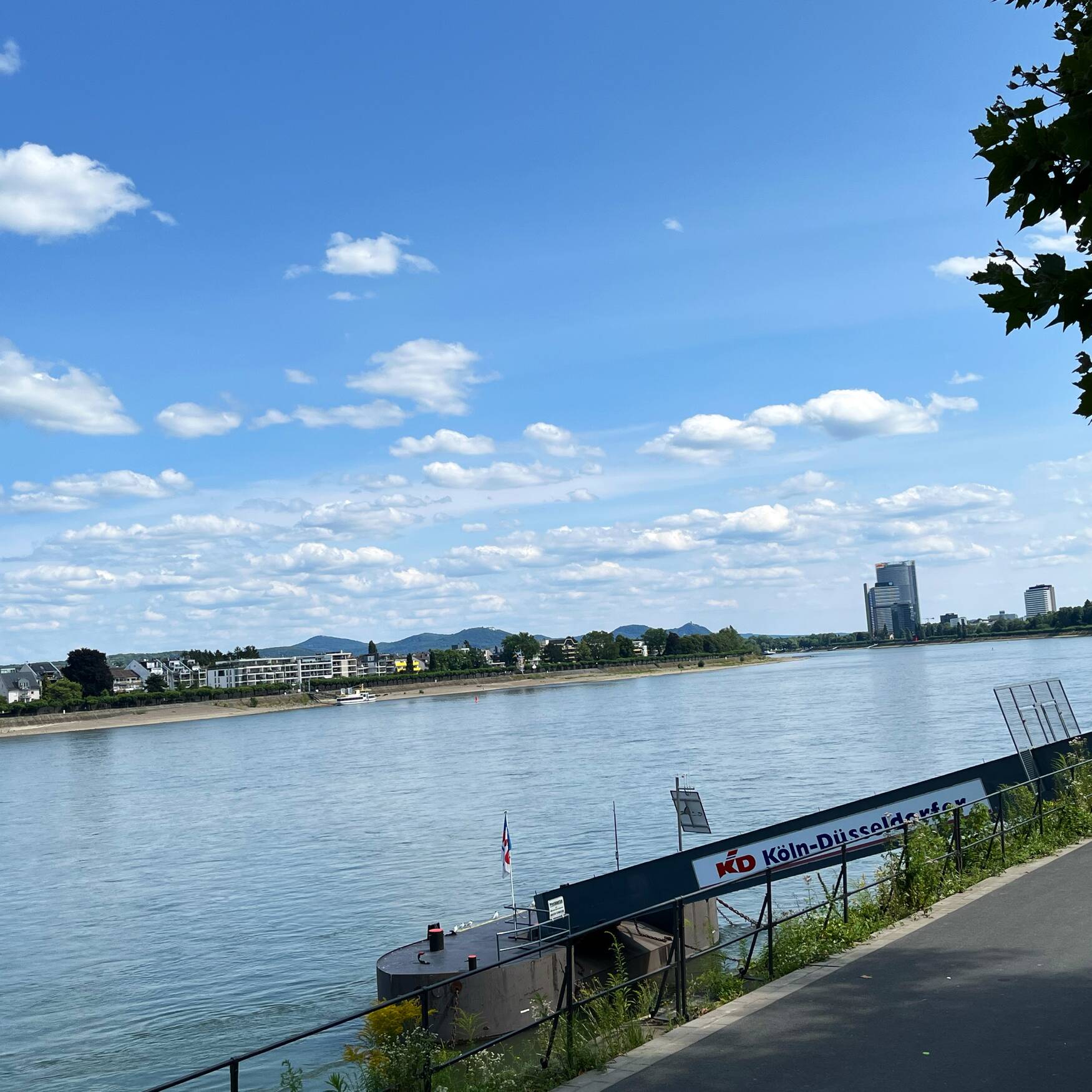 Bonn