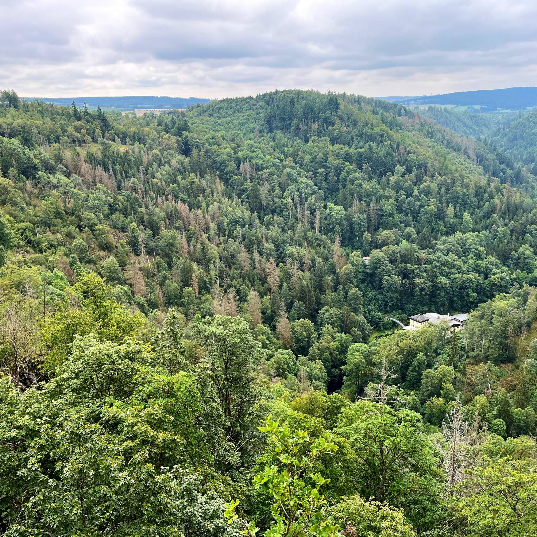 Wandern im Höllental