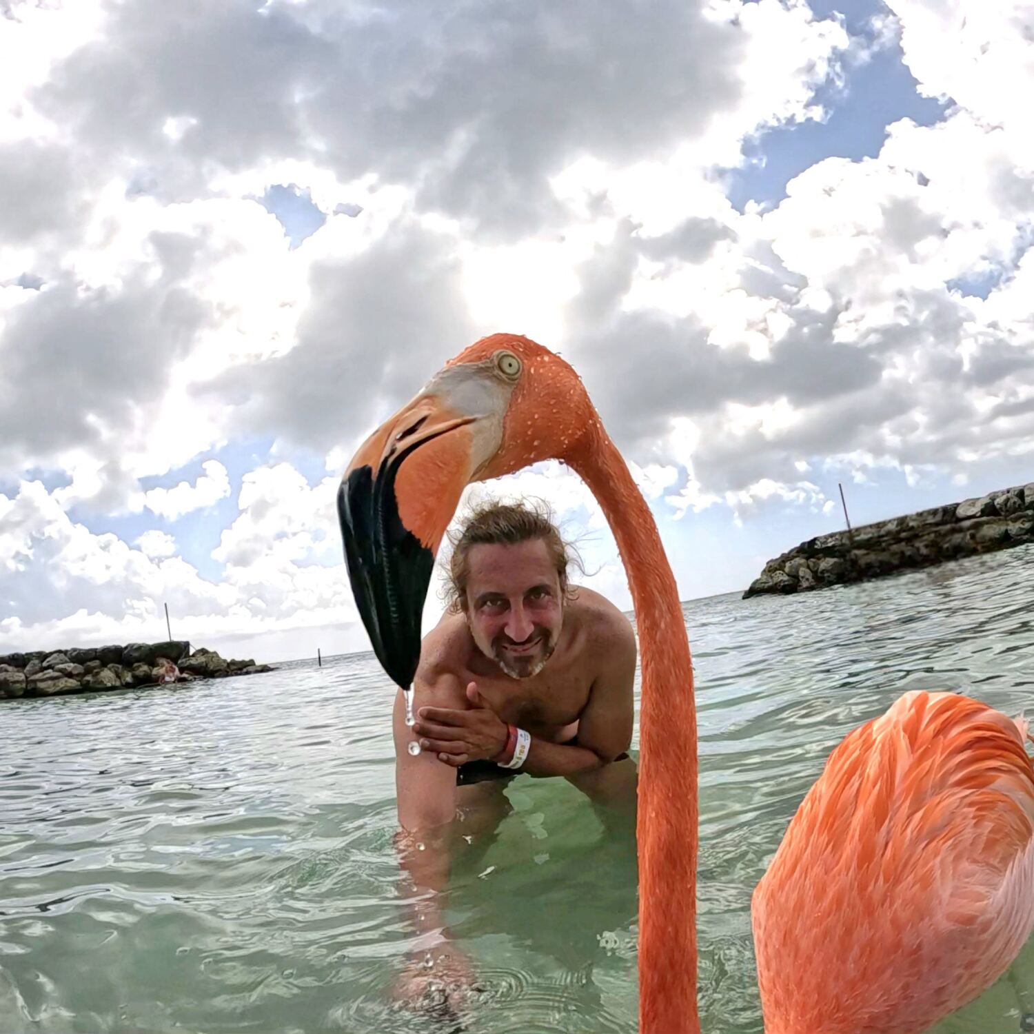 From Mexico to Brazil