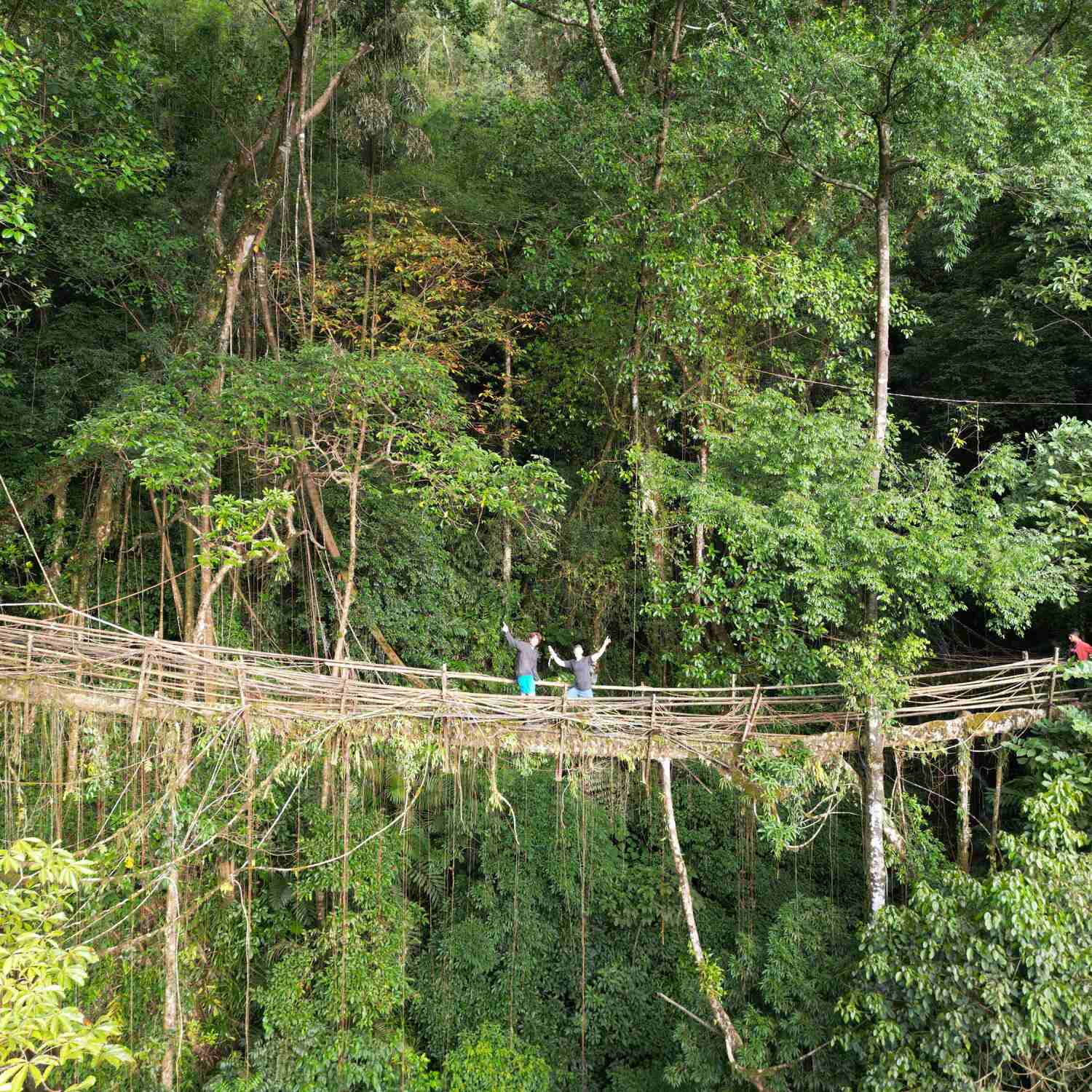 Northeast India & the Andamans