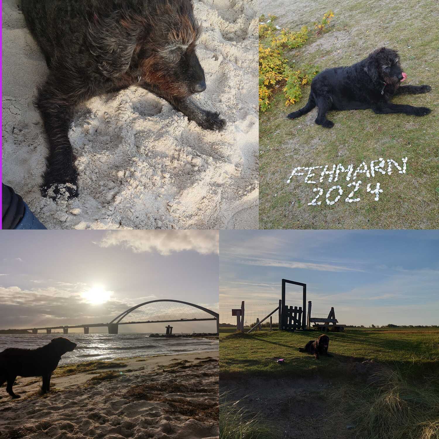 Wieder mal Fehmarn 🥰🌞🌴