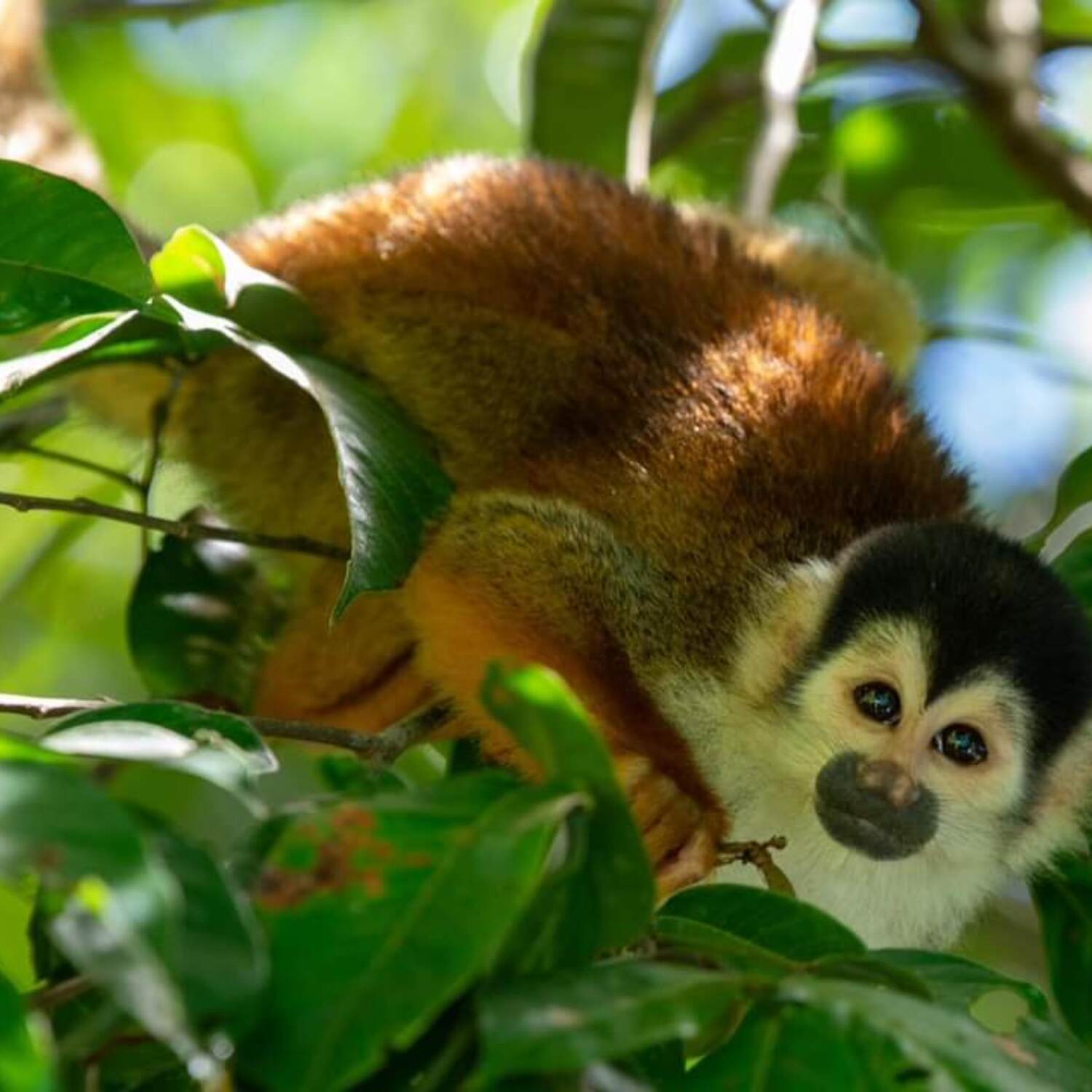 Costa Rica 2024