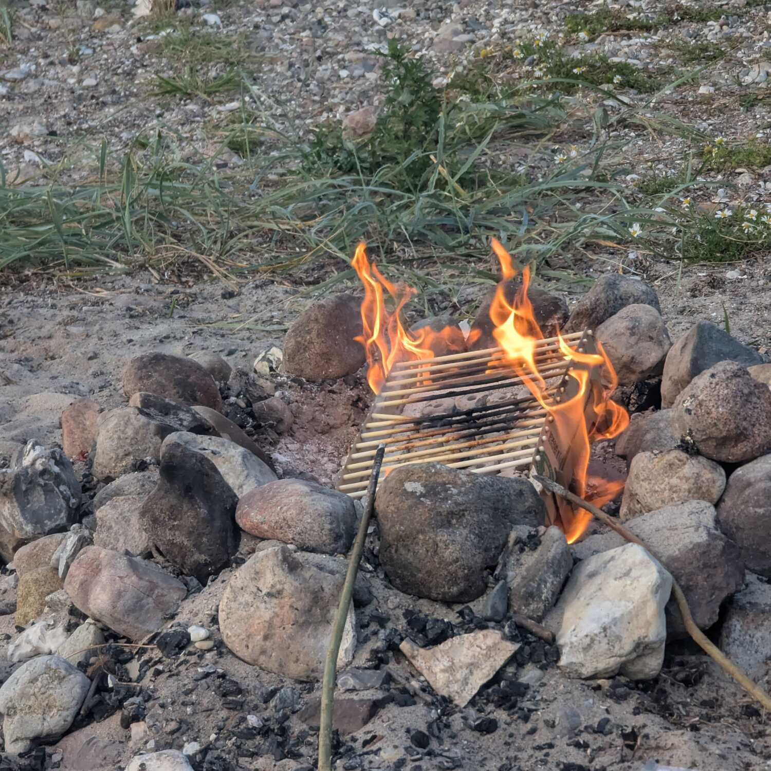 Jagten på den blå juvel