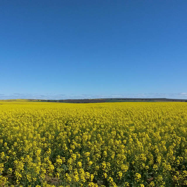 West Australia