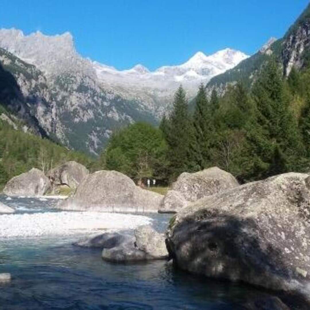 Val Masino