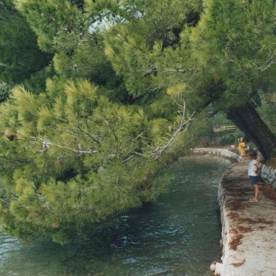 Isola di Rab