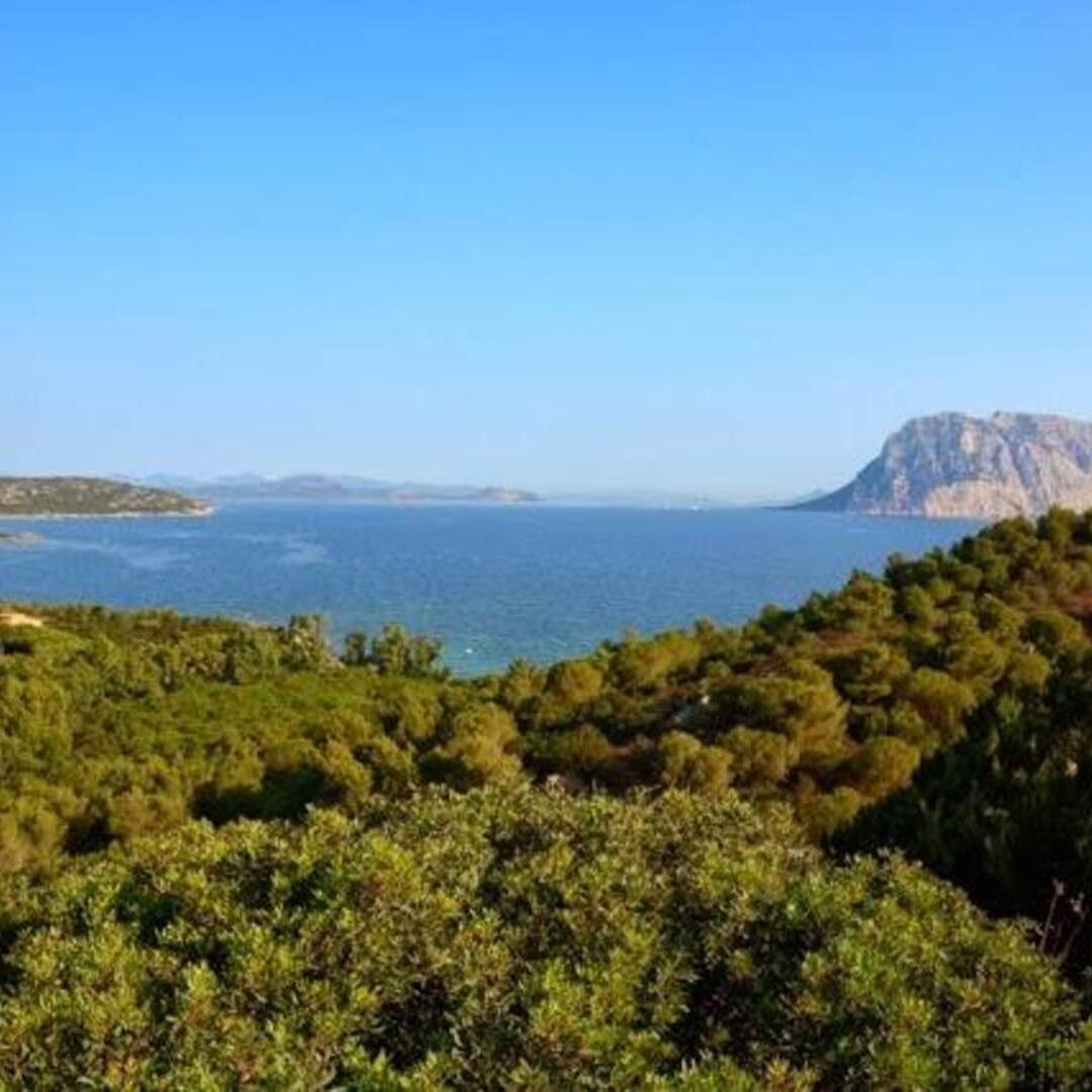 Finalmente Sardegna