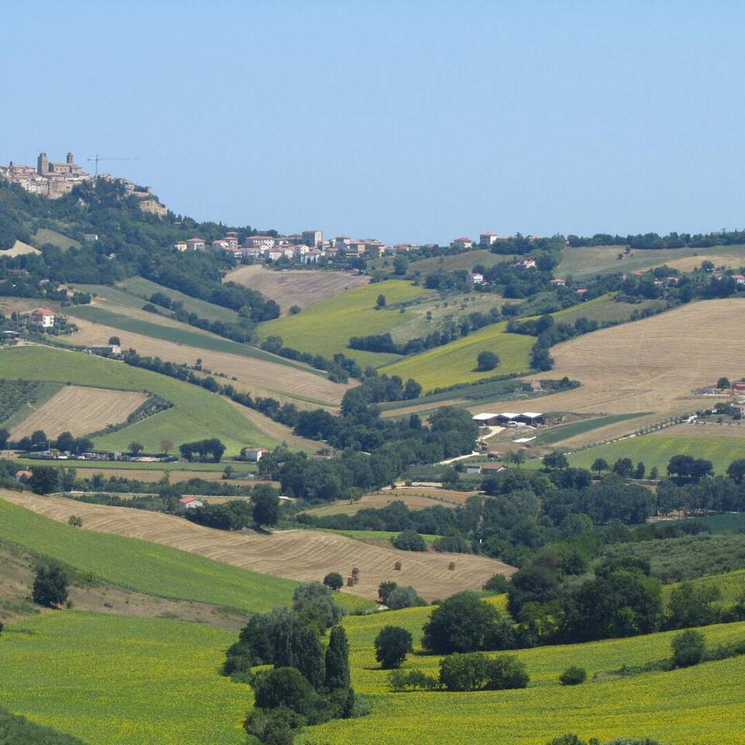 Vivere le Marche