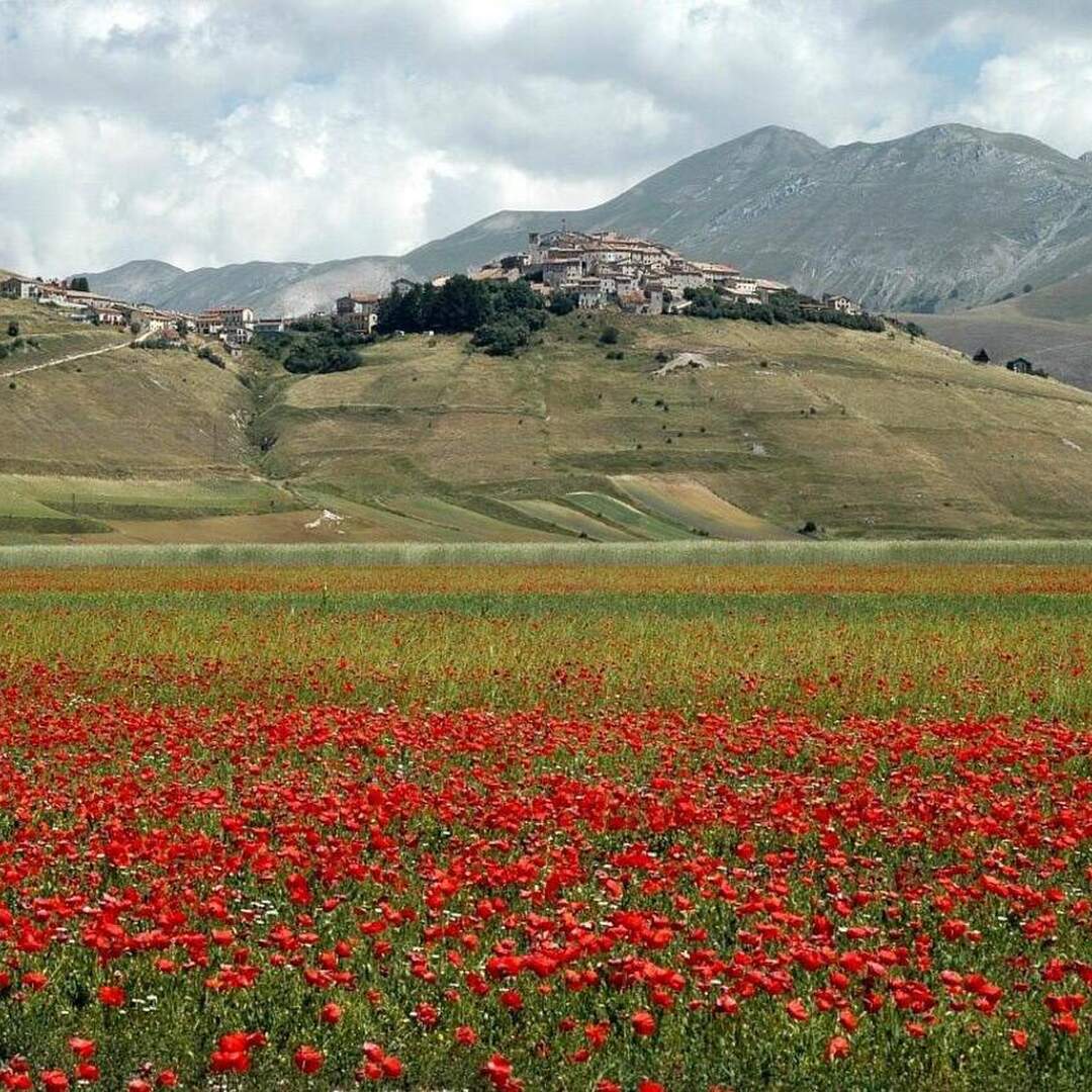 Ancora Marche, Acquachiara