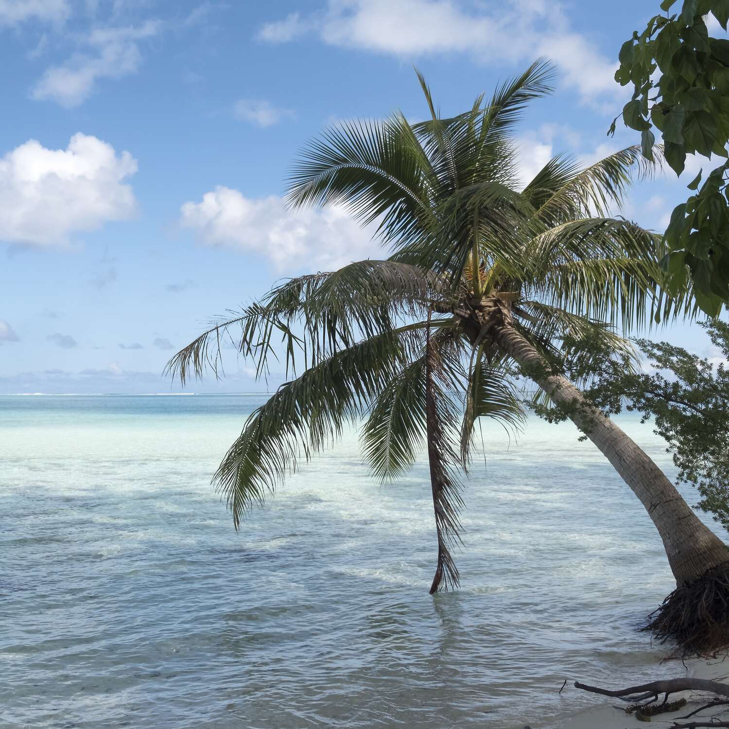 In den Weiten des Pazifiks