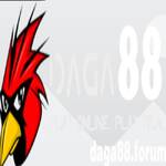 Đá Gà 88 Forum