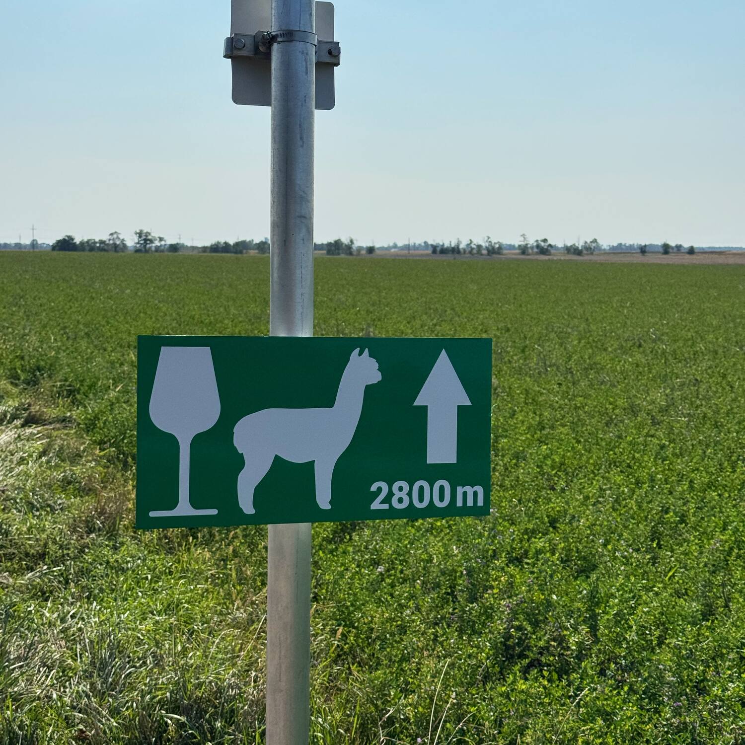 Drama mit Lama Tour…