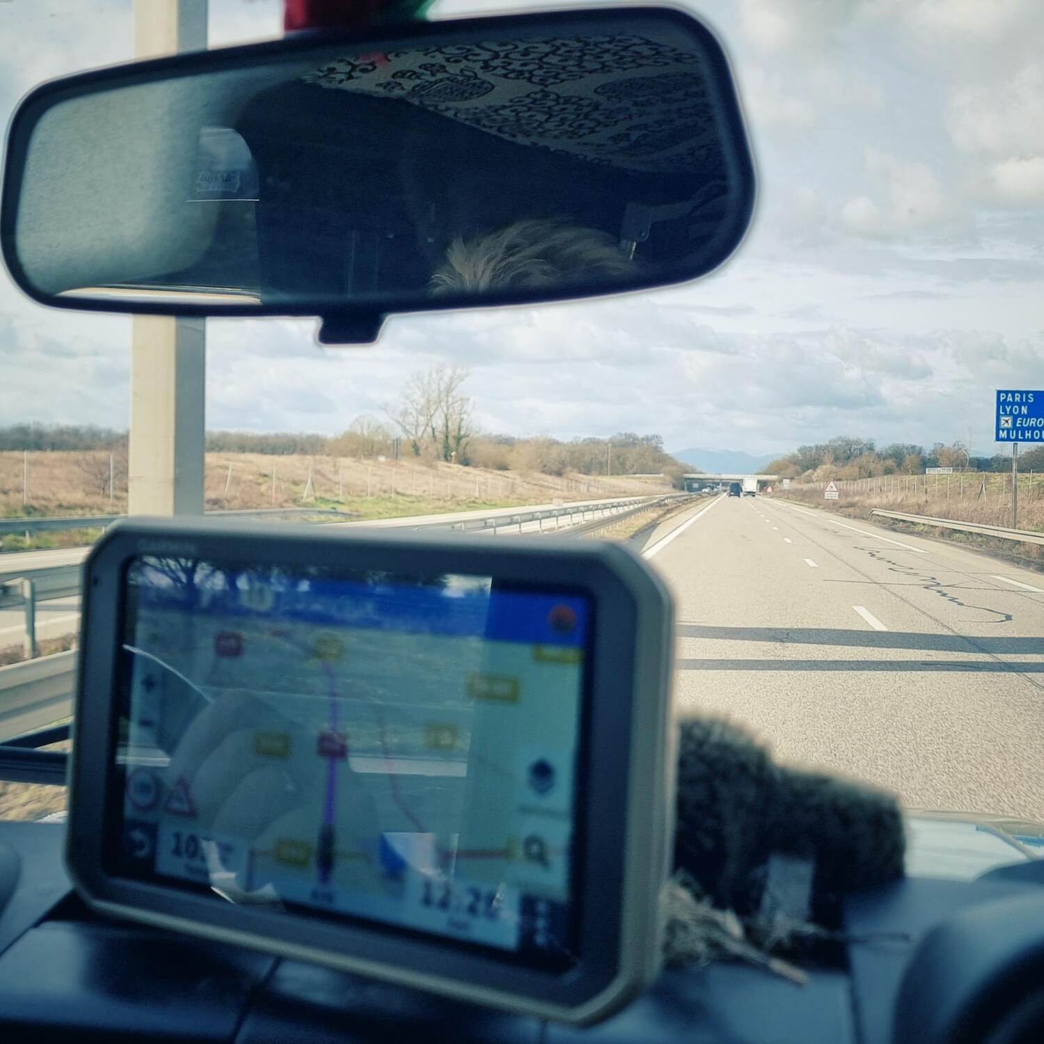 Dem Frühling entgegen