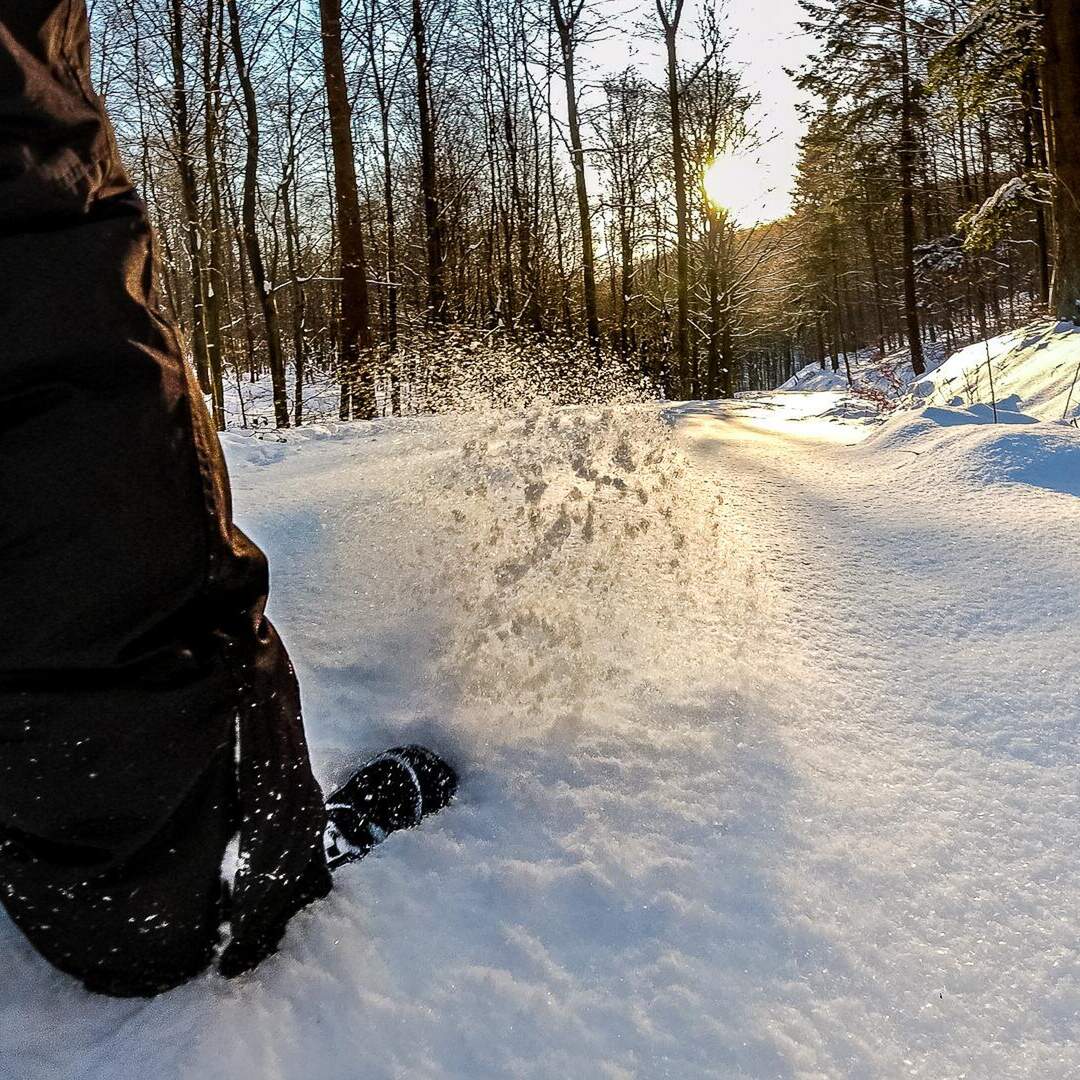 Schneetour zum Süntelturm