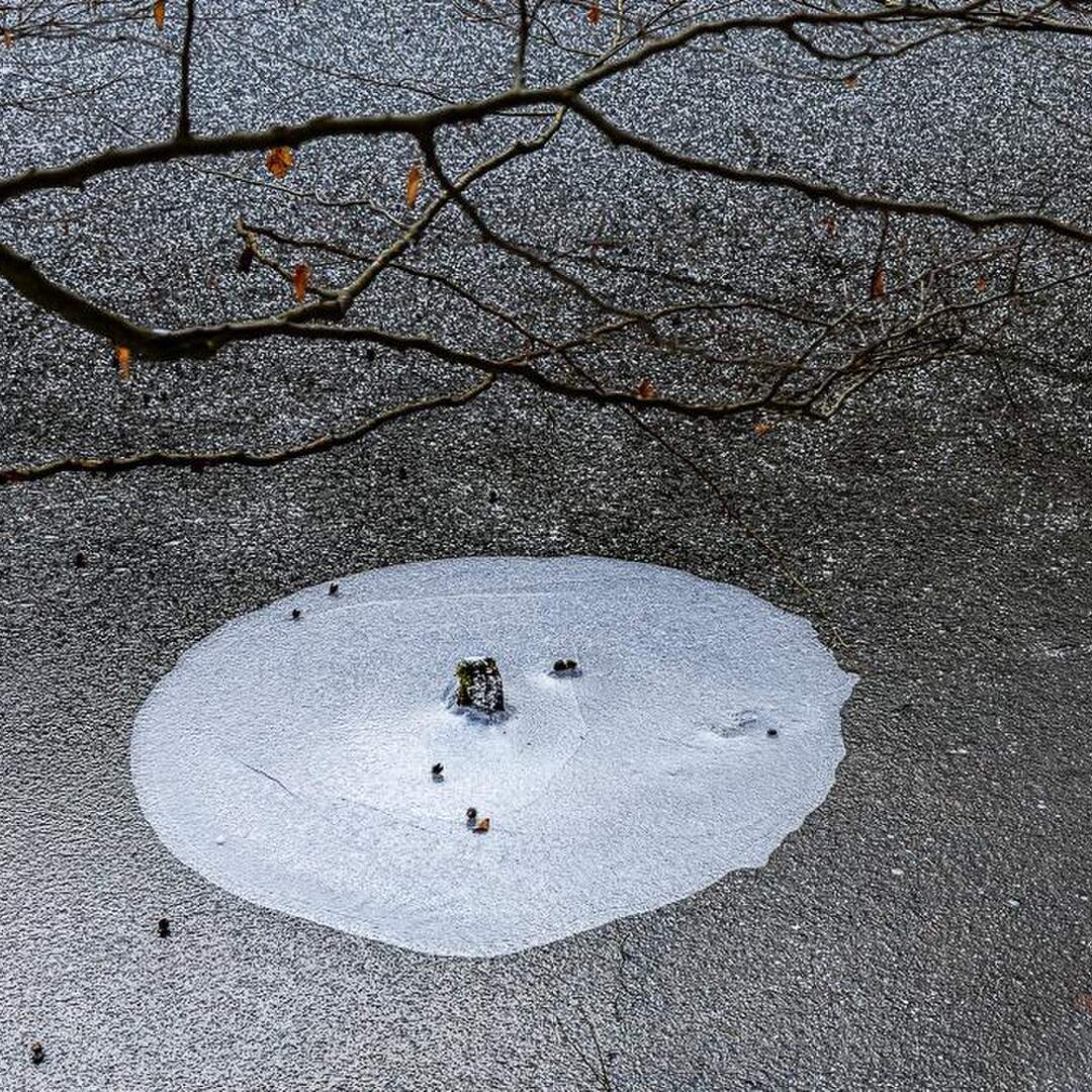 Süntelsee im Winter