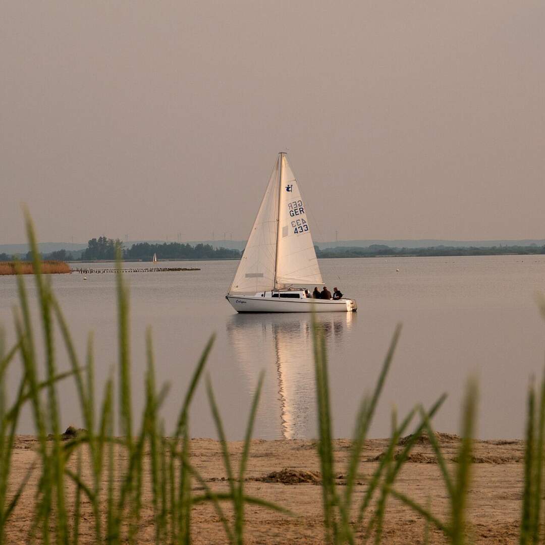 Dümmer See