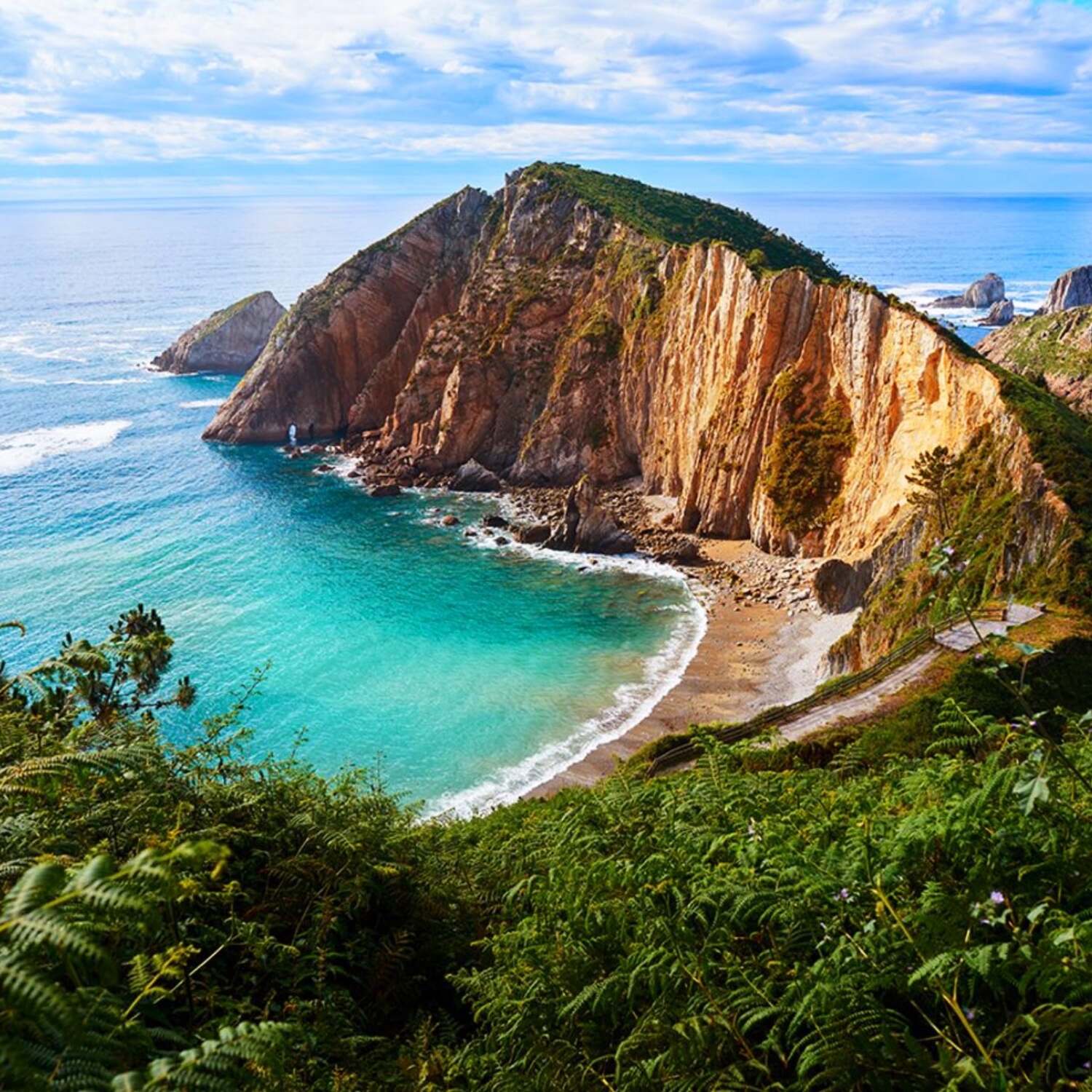 2026 Delfino in Nordspanien