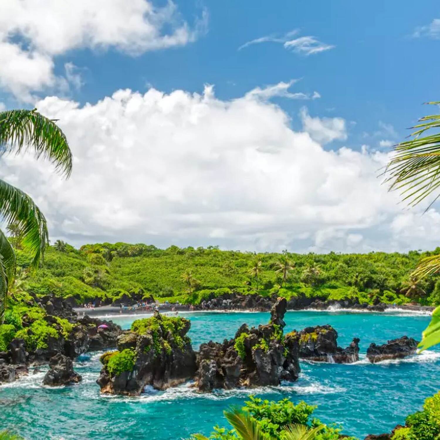 2024 Hawaii