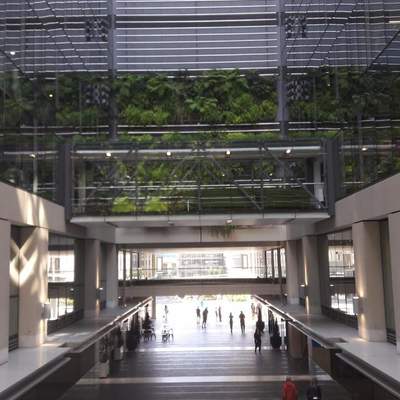 Auckland - Stipvisite