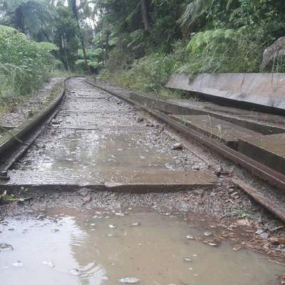 Gold, Quarz und Glühwürmchen