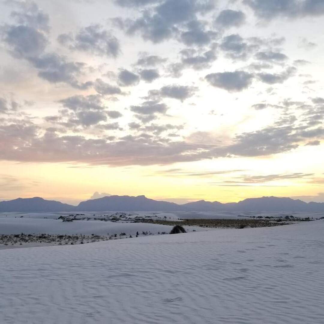 New Mexico