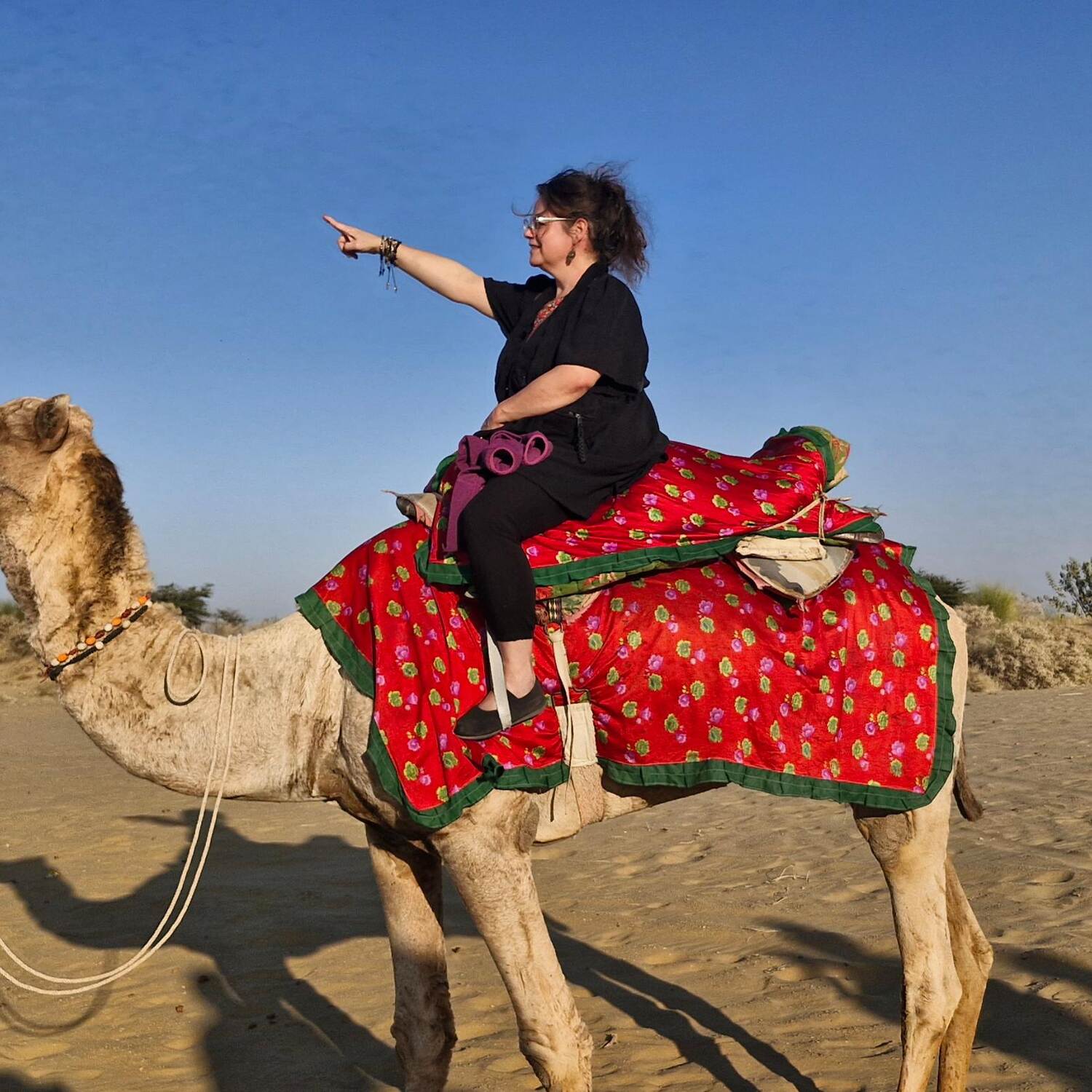 Rajasthan