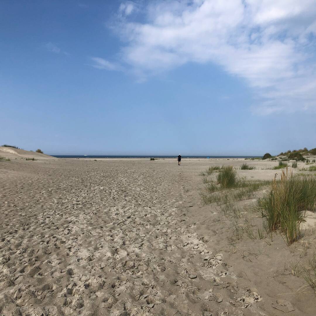 Ostfriesland 2022