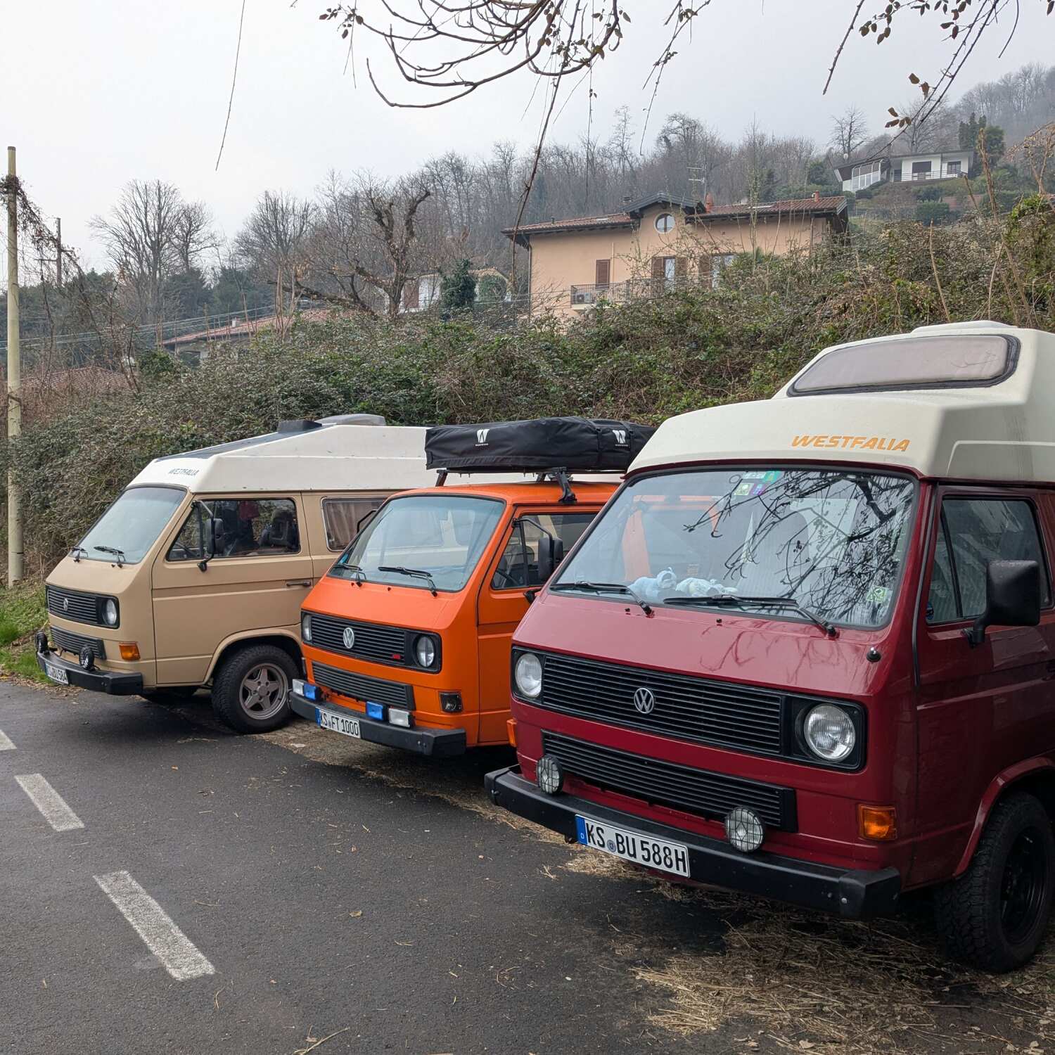 3 Bullis auf Sardinien