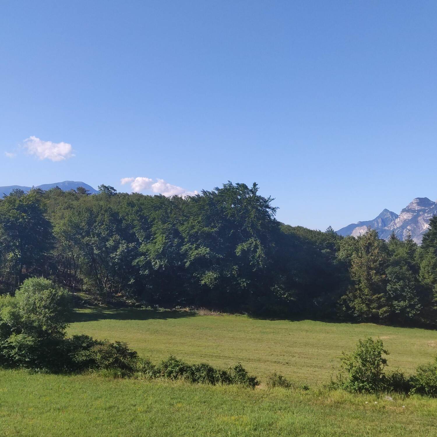 Gardasee