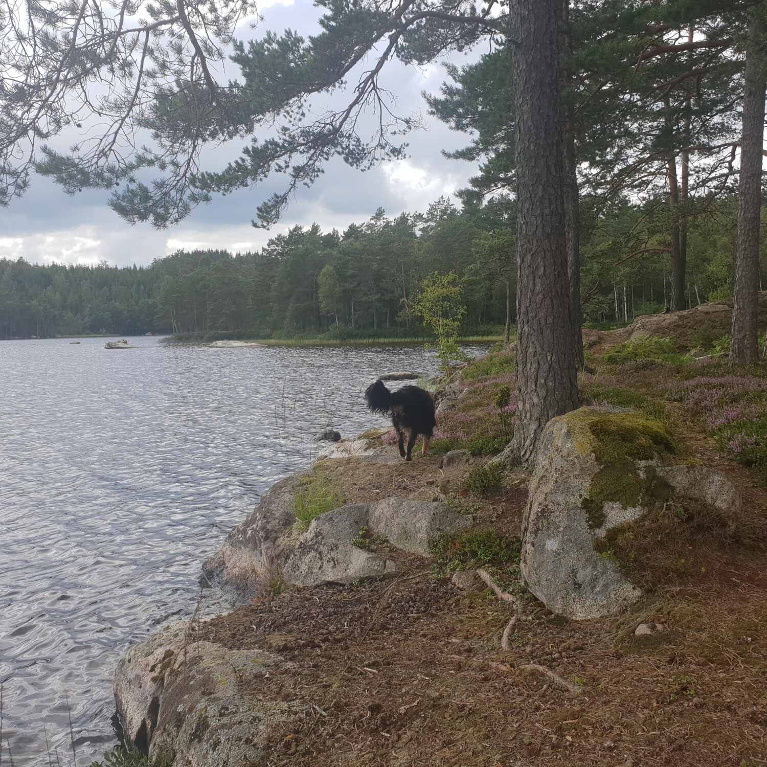 Schweden