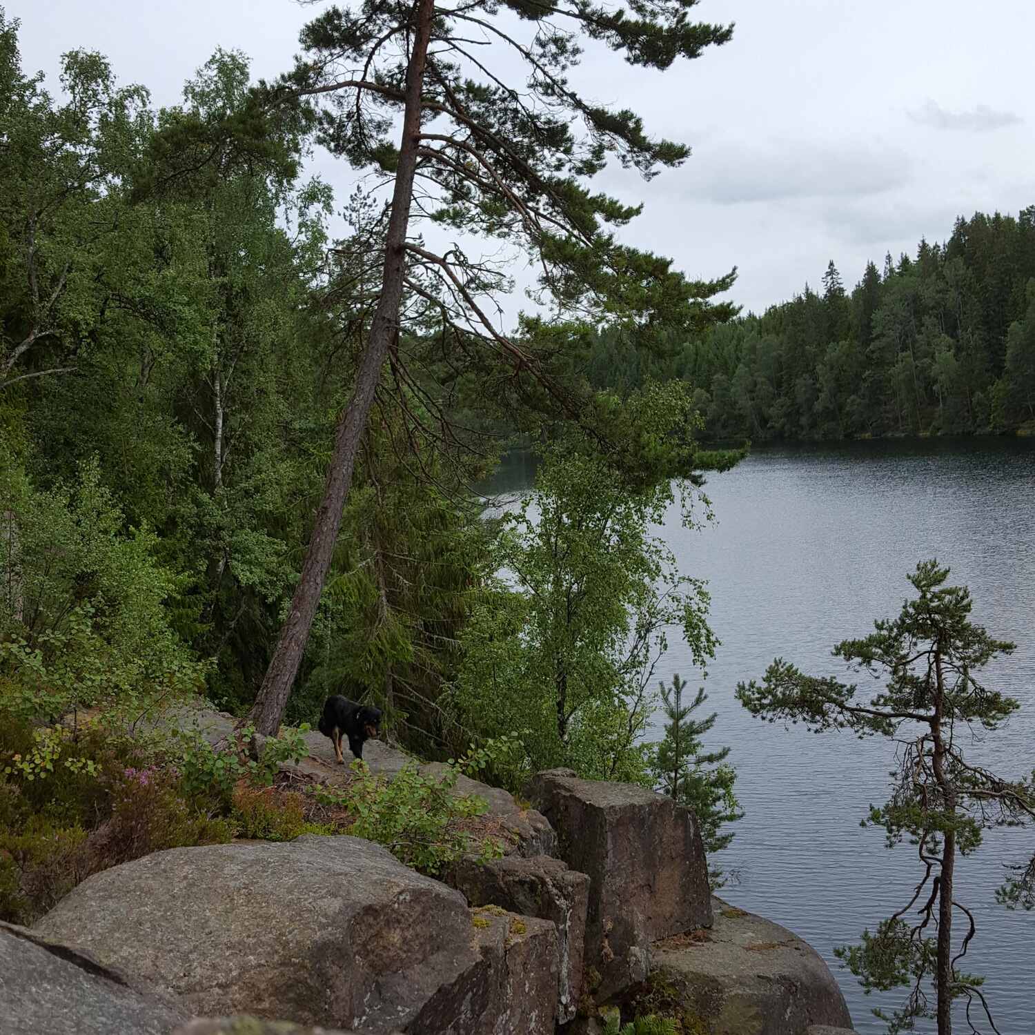 Schweden 2016