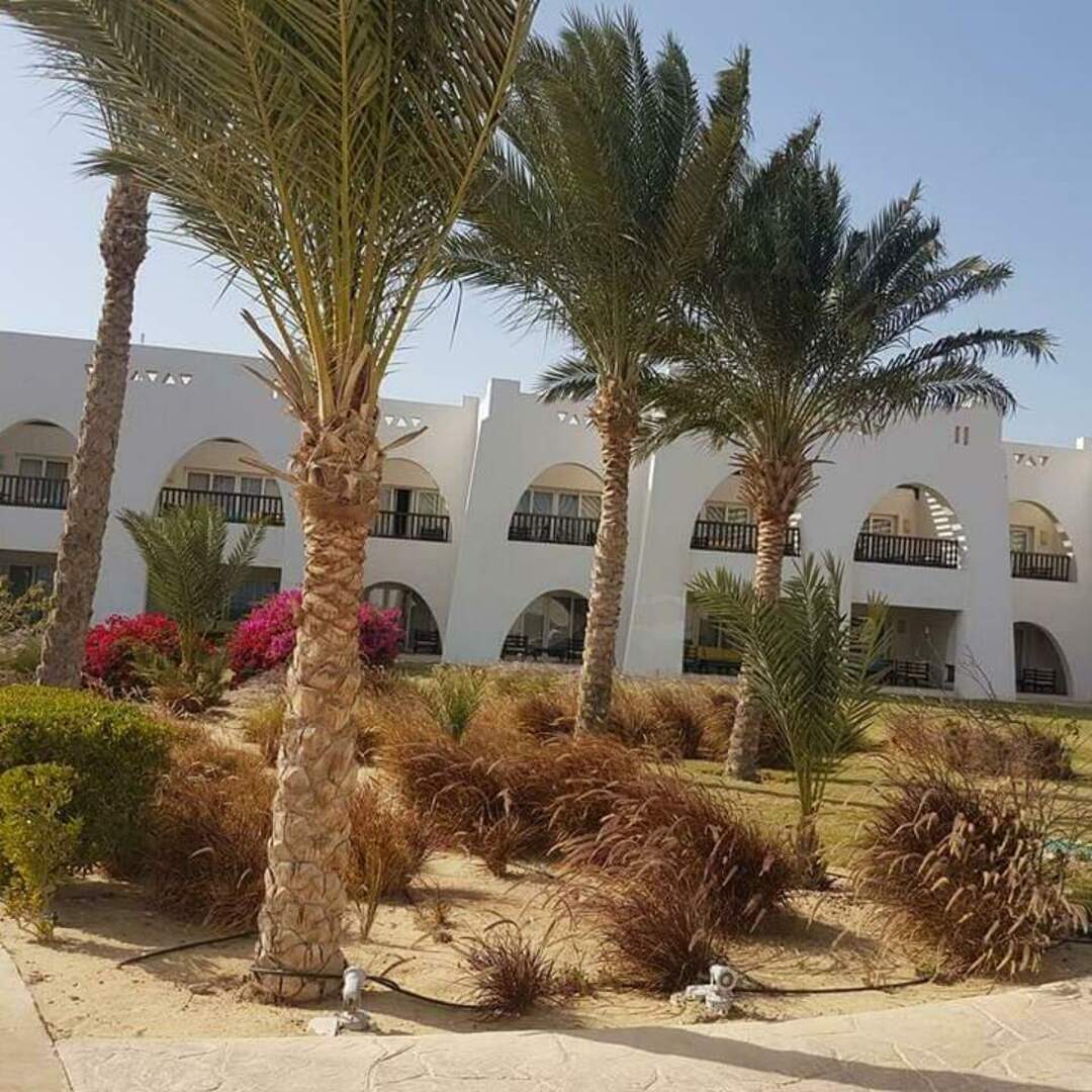 ÄGYPTEN MARSA ALAM